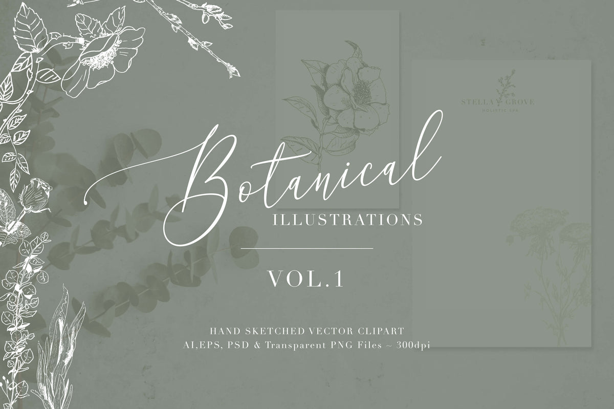 Botanical Illustrations Vol. One