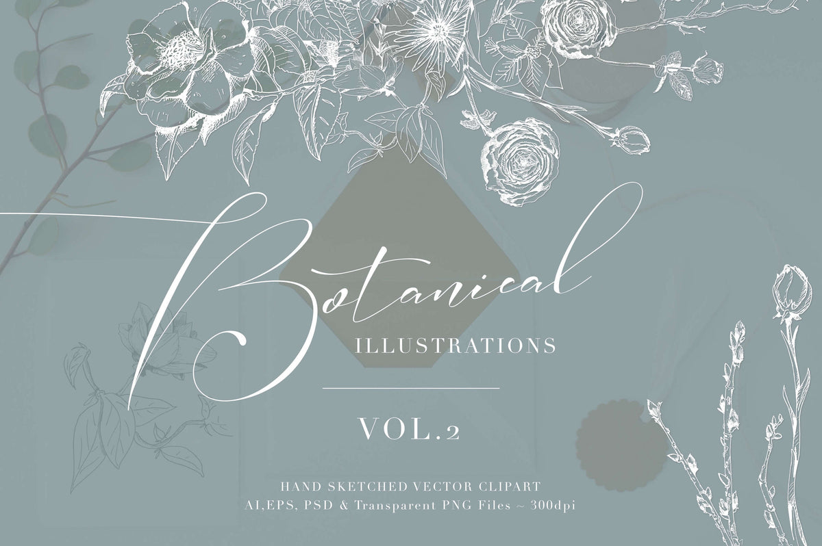 Botanical Illustrations Vol. Two